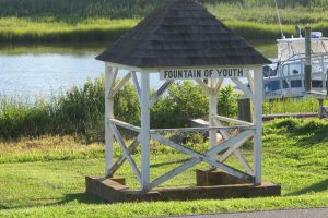 Fountain of Youth